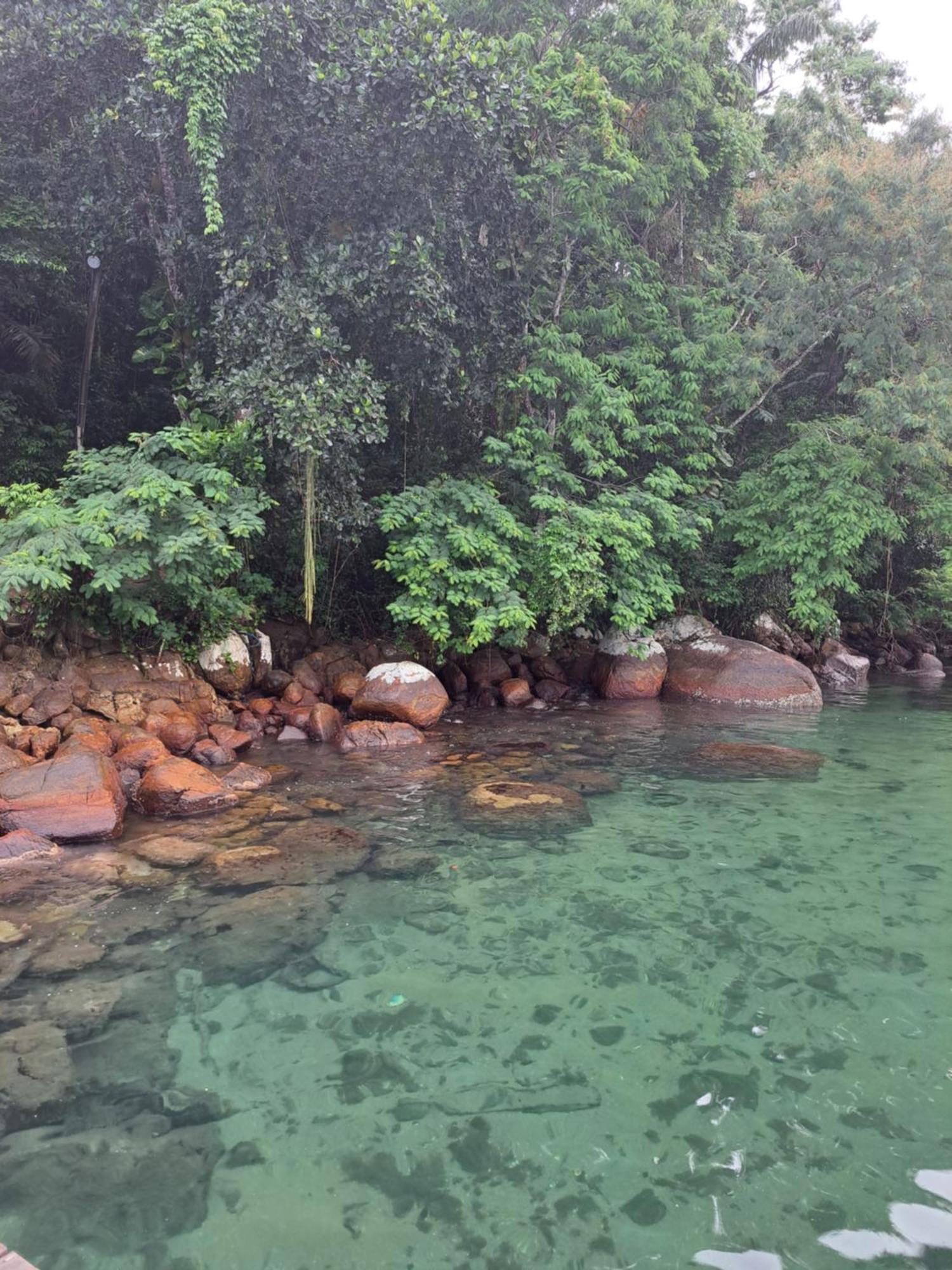 Glamping Sitio Das Tartarugas Angra dos Reis Eksteriør billede